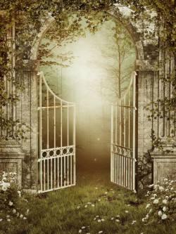 哥特式大门铁门与树林风景高清图片