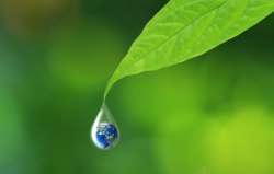 绿色环保图片下载树叶上的水滴地球高清图片