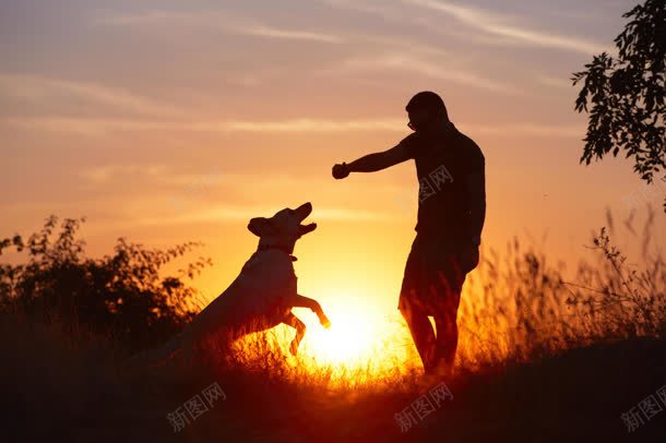 夕阳下的狗狗与男人jpg设计背景_新图网 https://ixintu.com 夕阳 男人