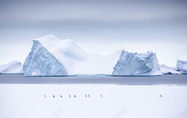 冰山企鹅海报背景jpg设计背景_新图网 https://ixintu.com 企鹅 冰山 模型 海报 背景