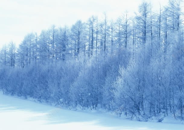 创意合成东北的雪景环境渲染jpg设计背景_新图网 https://ixintu.com 东北 创意 合成 渲染 环境 雪景