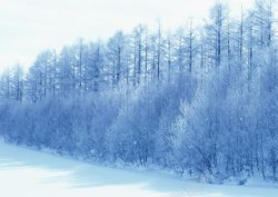 创意雪景创意合成东北的雪景环境渲染高清图片