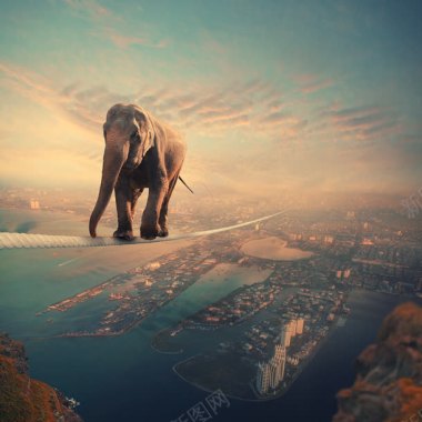 大象在路上城市缩小版背景