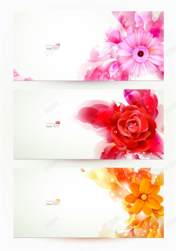 对比花卉争艳美丽jpg设计背景_新图网 https://ixintu.com 争艳 对比 美丽 花卉