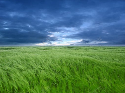 乌云密布的天空绿油油的草地海报背景背景