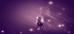 PSD系列婚纱唯美梦幻紫色花朵背景海报高清图片