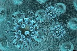 矢量医学PPT素材蓝色带刺病毒体细胞高清图片