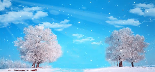 卡通冬天的树冬季风景背景背景