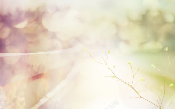 柔美的暖春树林壁纸jpg设计背景_新图网 https://ixintu.com 壁纸 柔美 树林