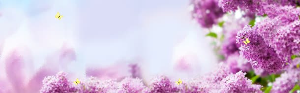 紫色梦幻花朵海报背景背景