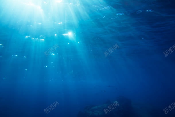 水下摄影海底世界jpg_新图网 https://ixintu.com 世界 摄影 水下 海底