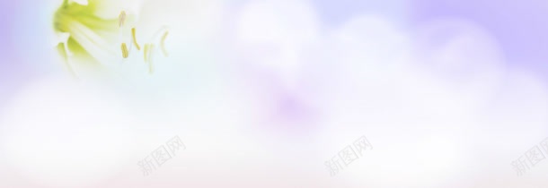 唯美紫色浪漫海报背景jpg设计背景_新图网 https://ixintu.com 女包 小清新 服装 海报设计 花瓣 荷花