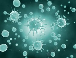 医学和科学病毒细胞高清图片
