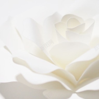 白色花朵丝绸摄影摄影图片