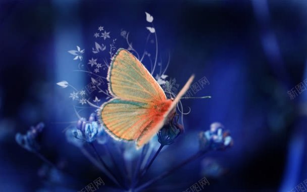 蓝底花卉橙色蝴蝶海报背景背景