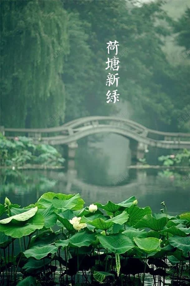 析绿色荷塘中国风景jpg设计背景_新图网 https://ixintu.com 中国 绿色 荷塘 风景