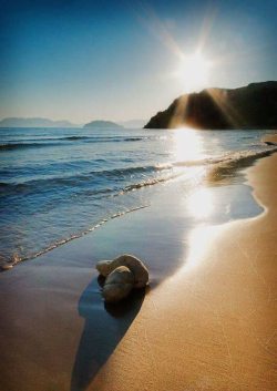 沐浴爱的阳光海浪沙滩阳光沐浴风景壁纸高清图片