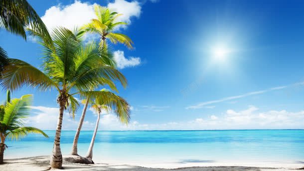 阳光沙滩蓝天白云椰子树jpg设计背景_新图网 https://ixintu.com 椰子树 沙滩 白云 艳阳天 蓝天 阳光