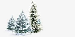 雪地里铲雪装饰松树高清图片