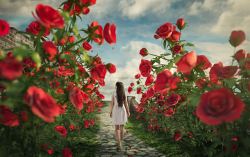 女孩玫瑰花丛里行走的女孩高清图片