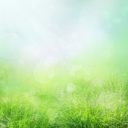 绿色植物底纹草地自然风景背景高清图片