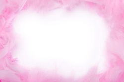 粉红色相框粉红色羽毛背景高清图片