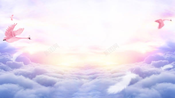 云层上飞翔的粉色天鹅梦幻海报背景背景
