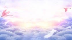 天鹅海报云层上飞翔的粉色天鹅梦幻海报背景高清图片