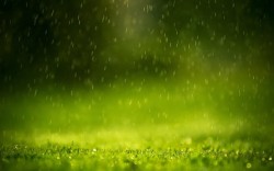 绿色谷雨水滴海报设计绿色草坪水滴海报背景高清图片