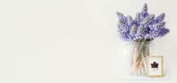 小紫花简约背景高清图片