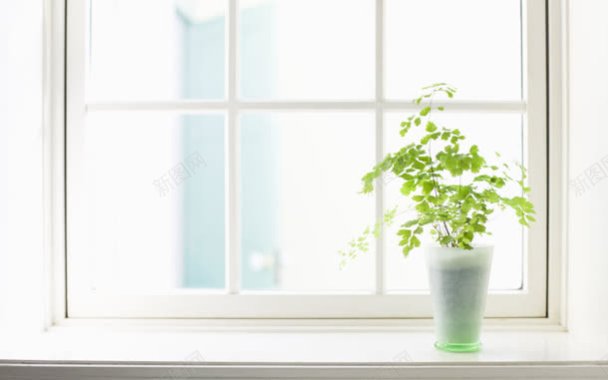 矢量窗台干净简约白色窗台绿叶背景