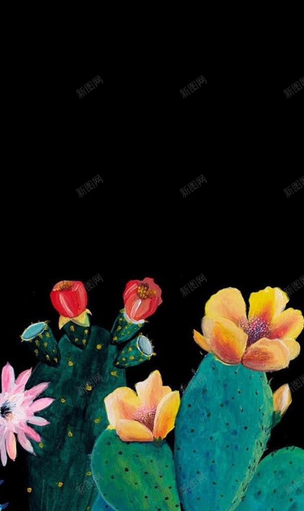 彩色仙人掌花卉jpg设计背景_新图网 https://ixintu.com 仙人掌 彩色 素材 花卉
