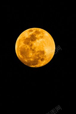 黑夜中的黄色月亮背景