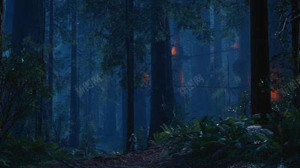 蓝色神秘森林里的灯光背景