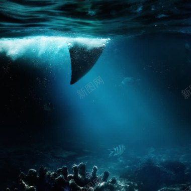 蓝色海面下的鱼鳍海报背景背景