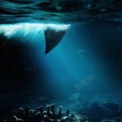 蓝色鱼鳍蓝色海面下的鱼鳍海报背景高清图片