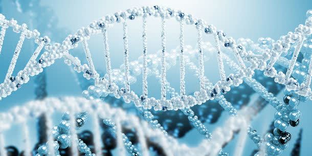 DNA结构jpg设计背景_新图网 https://ixintu.com DNA双螺旋结构图片 DNA基因 DNA结构 DNA结构图片 DNA结构图片素材下载 其它类别 医疗科学 图片素材 背景花边 遗传学