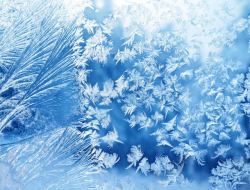 冬天冰霜蓝色背景冰花摄影高清图片