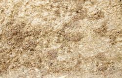 泥沙PNG土壤背景底纹高清图片