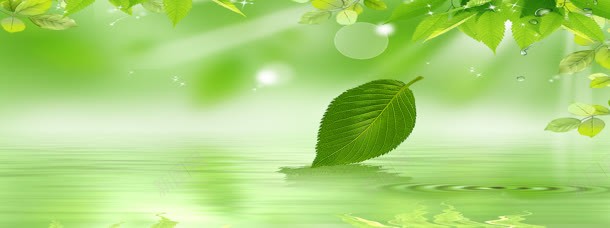 清新绿叶背景背景图片免费下载 素材7qykkqpae 新图网 清新绿叶背景背景图片免费下载 素材7qykkqpae 新图网