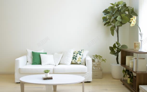 室内绿植现代沙发jpg设计背景_新图网 https://ixintu.com 室内 沙发 现代