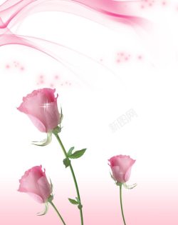 大自然花玫瑰花束高清图片