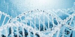 遗传学DNA基因高清图片