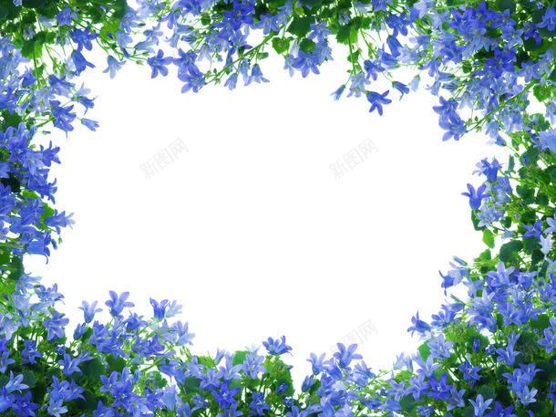 漂亮花朵边框背景图片免费下载 素材7sjkgquuu 新图网 漂亮花朵边框背景图片免费下载 素材7sjkgquuu 新图网