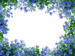 高清漂亮漂亮花朵边框高清图片
