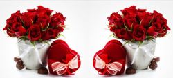 红色康乃馨摄影特写唯美玫瑰花巧克力海报背景高清图片