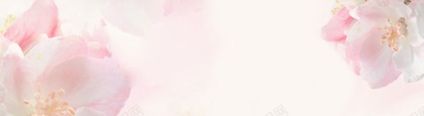 浪漫粉色花朵背景jpg设计背景_新图网 https://ixintu.com 优雅 化妆品海报 宁静 粉红色背景 美女 美容 美容海报 花 花瓣