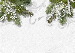 枞树枝雪花丝带背景高清图片