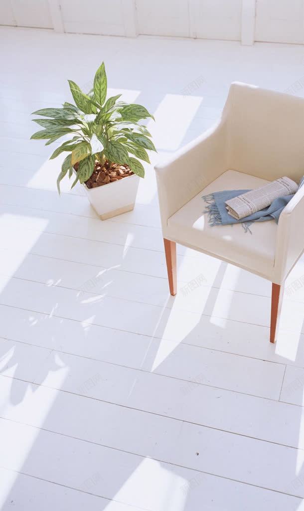 白色简约家具沙发植物jpg设计背景_新图网 https://ixintu.com 家具 植物 沙发 白色 简约