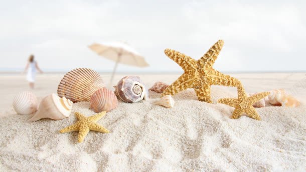 阳光沙滩贝壳海星背景